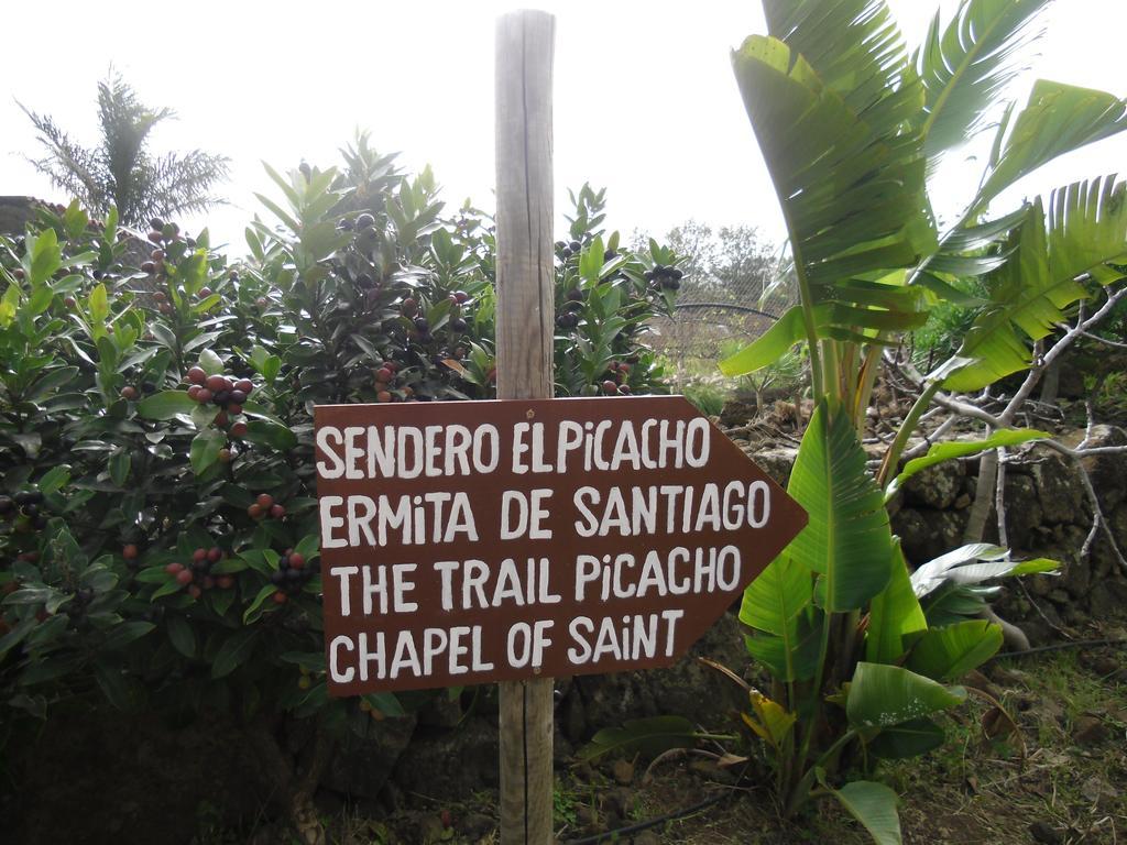 Finca El Picacho Apartments In The Countryside 2 Km From The Beach Tejina Ruang foto