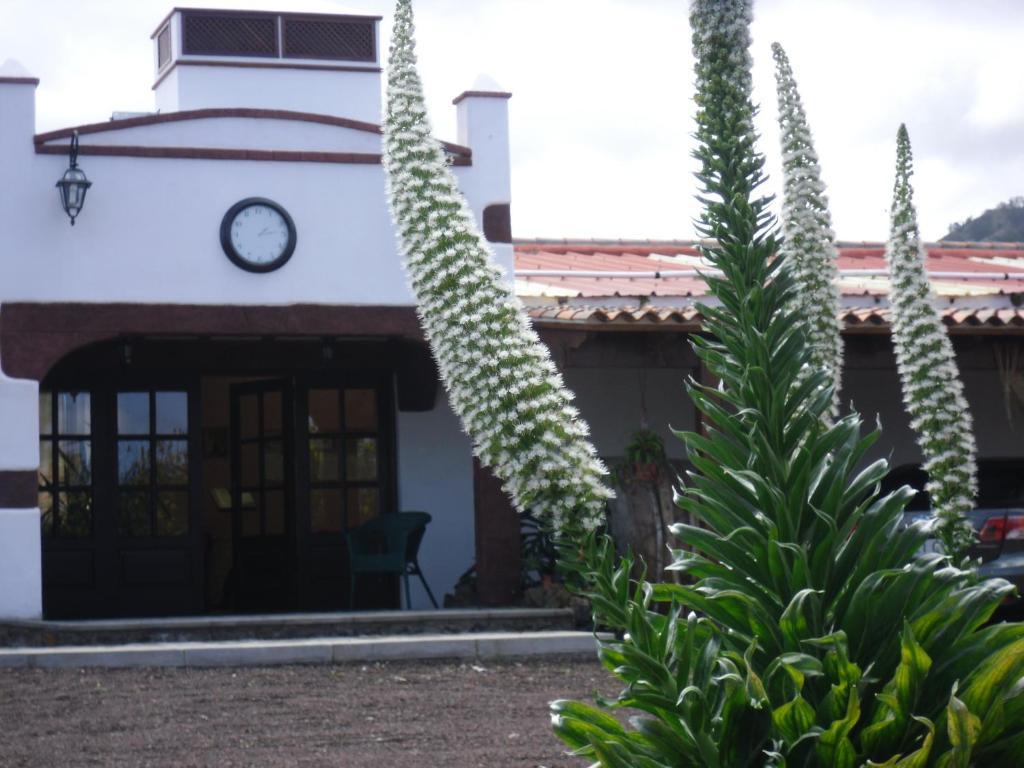 Finca El Picacho Apartments In The Countryside 2 Km From The Beach Tejina Bagian luar foto